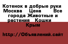 Котенок в добрые руки. Москва. › Цена ­ 5 - Все города Животные и растения » Кошки   . Крым